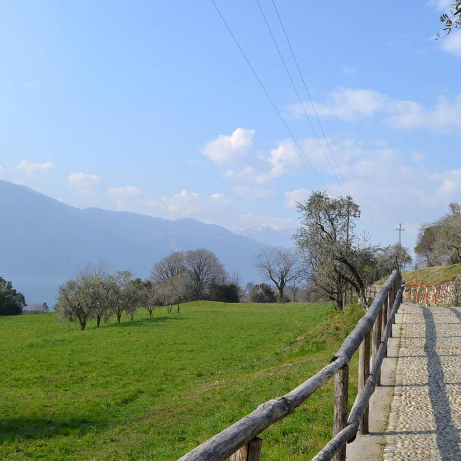 La Cascina Della Vigna Del Viandante Villa Abbadia Lariana Luaran gambar