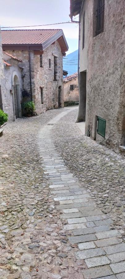 La Cascina Della Vigna Del Viandante Villa Abbadia Lariana Luaran gambar